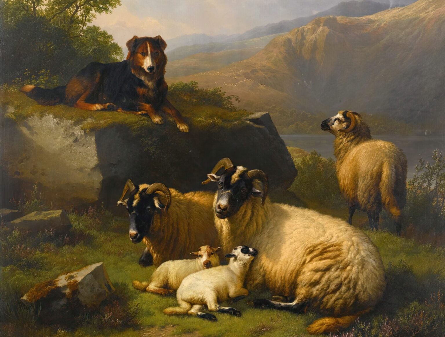 羊を守る牧羊犬